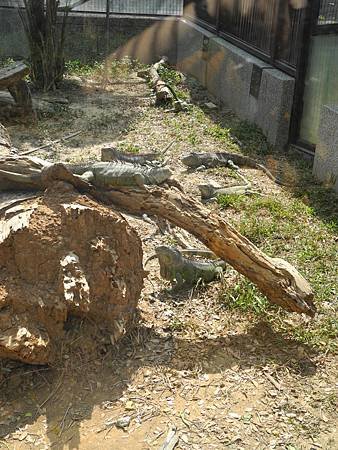 DSCN4517.JPG