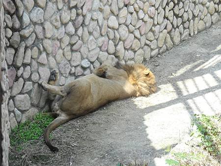 DSCN4550.JPG