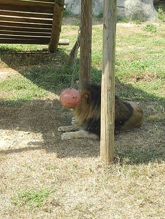 DSCN4554.JPG