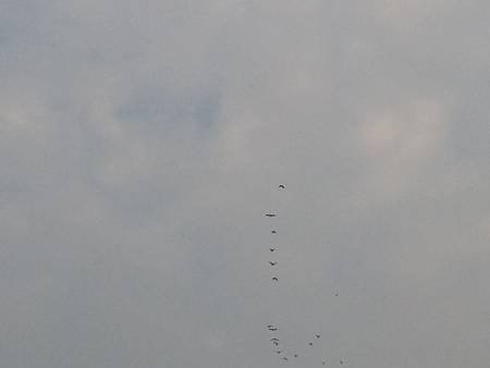 20140309_172752_運河路.jpg