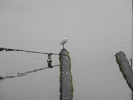 DSCN4807.JPG