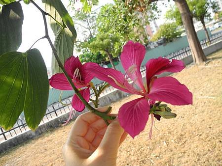 DSCN4894.JPG