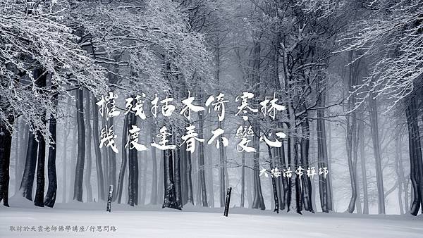 摧殘枯木.jpg