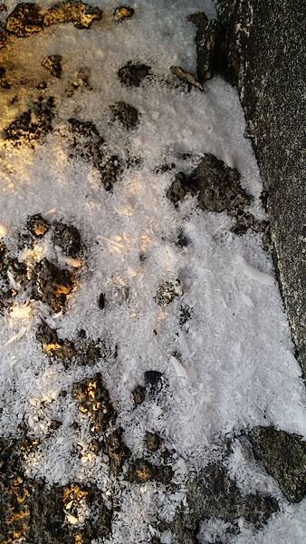 20141223_161825.jpg