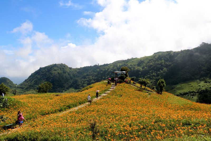 六十石山鹿蔥亭 (10).jpg