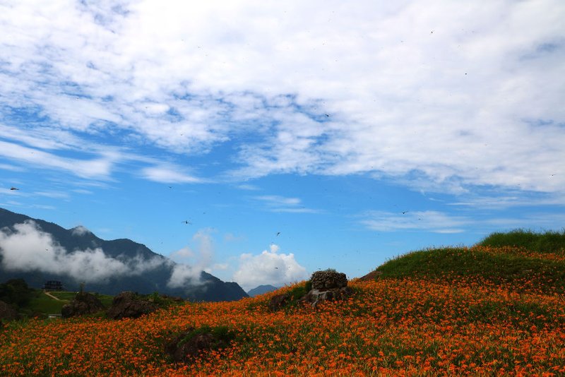 六十石山鹿蔥亭 (21).jpg