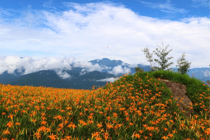 六十石山鹿蔥亭 (27).jpg