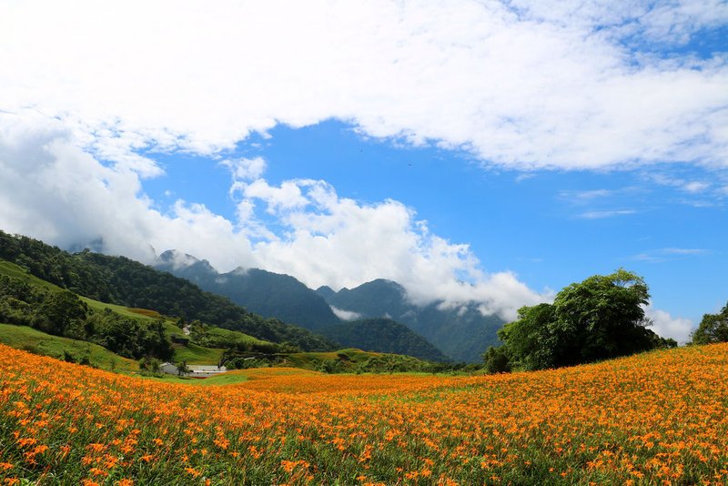 六十石山鹿蔥亭 (30).jpg