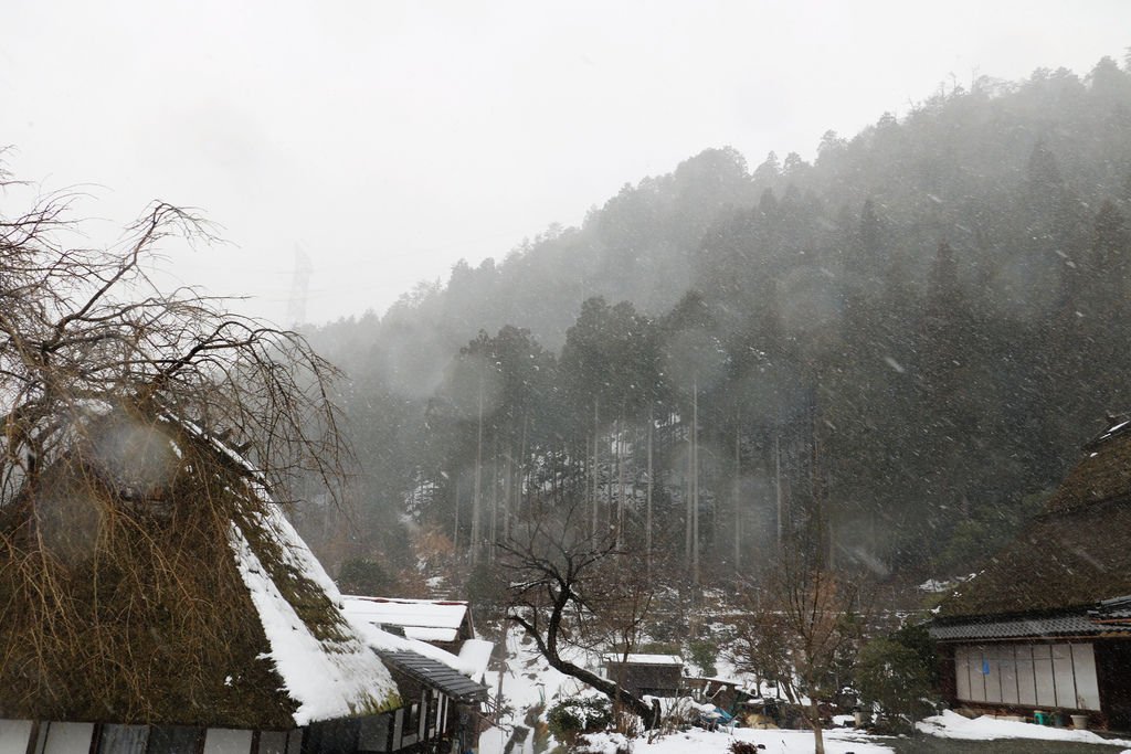 IMG_1519_副本.jpg