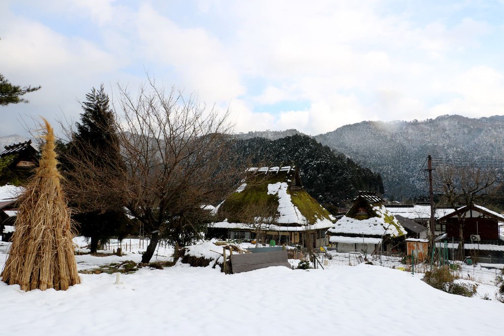 IMG_1546_副本.jpg