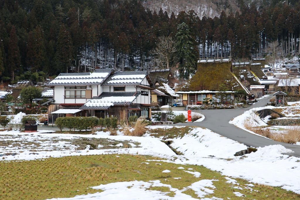 IMG_1796_副本.jpg