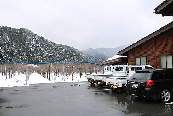 IMG_1465.JPG