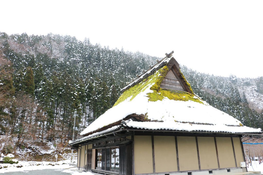 IMG_1454_副本