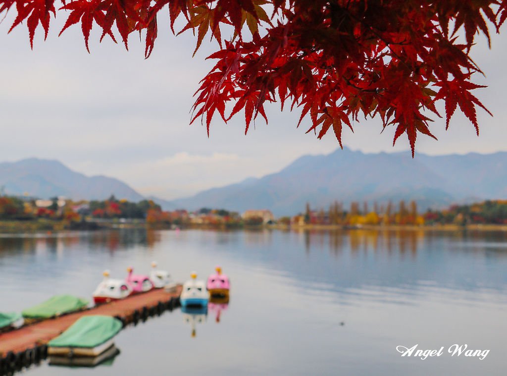IMG_6582_副本