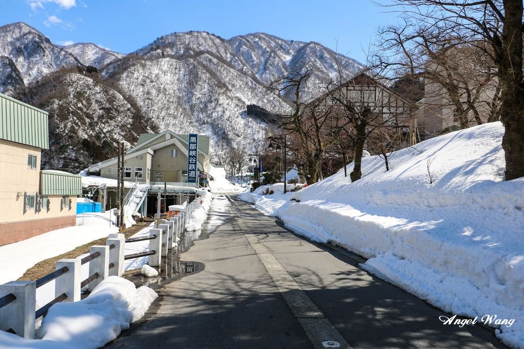 IMG_8855_副本