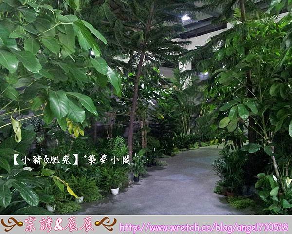 台北市華山文化創意產業園區【昆蟲展】04