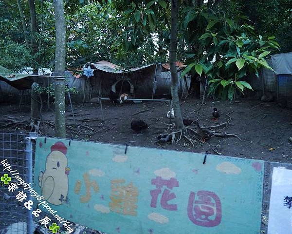 台北縣．五股區【準園生態莊園】31