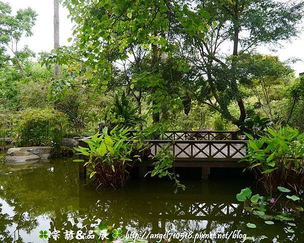 苗栗縣．卓蘭鎮【花自在食宿館】08