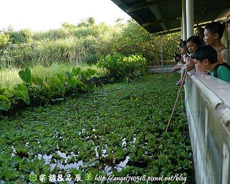 新竹縣．新豐鄉【小叮噹科學園區】49.jpg