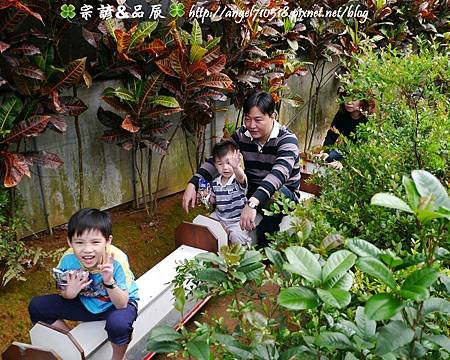 新北市．三芝區【福順農場】15.jpg