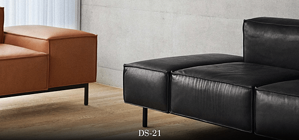 DS-21_sofa_de Sede-1.png