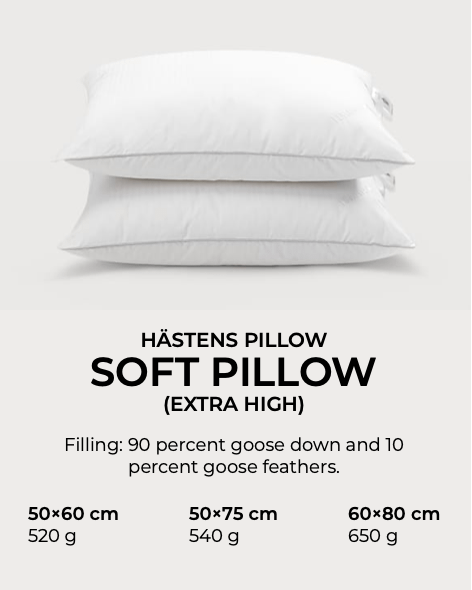 HASTENS 歐洲進口家具 2019年 瑞典名床 PILL