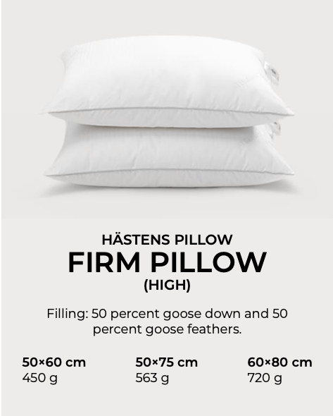 HASTENS 歐洲進口家具 2019年 瑞典名床 PILL
