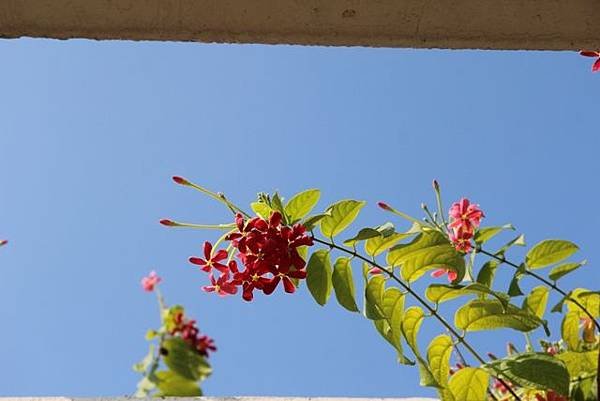 IMG_0222.JPG
