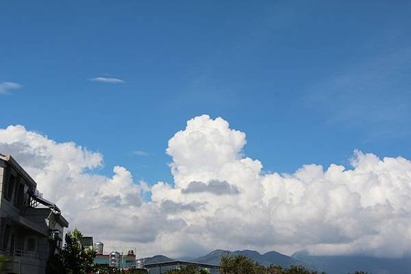 IMG_1349.JPG
