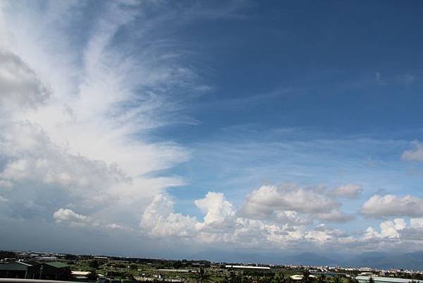 IMG_1354.JPG