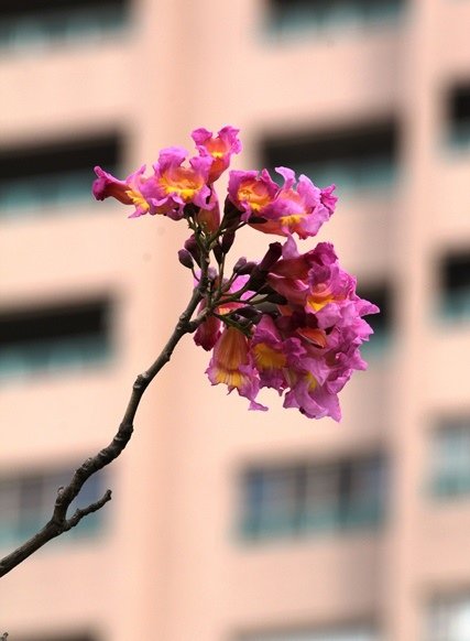 IMG_3021