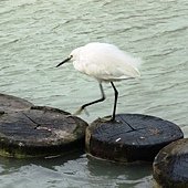 IMG_3270
