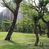IMG_6800.JPG