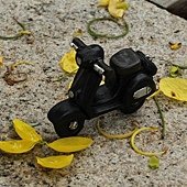 IMG_5298.JPG