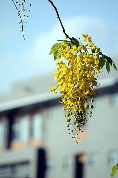 IMG_5672.JPG