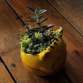 IMG_8076