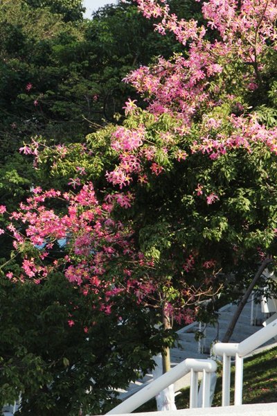 IMG_8497.JPG