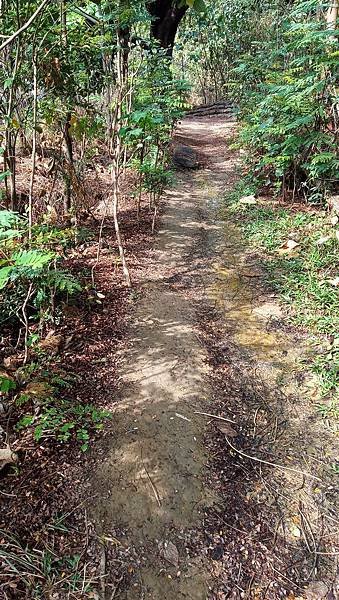 IMG_20190225_093120.jpg