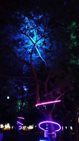 460964.jpg