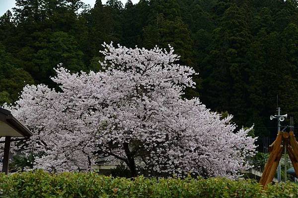 DSC_9988.JPG