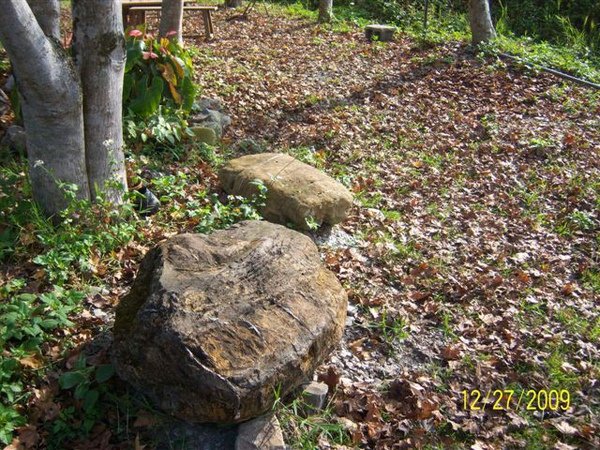 100_5094.JPG