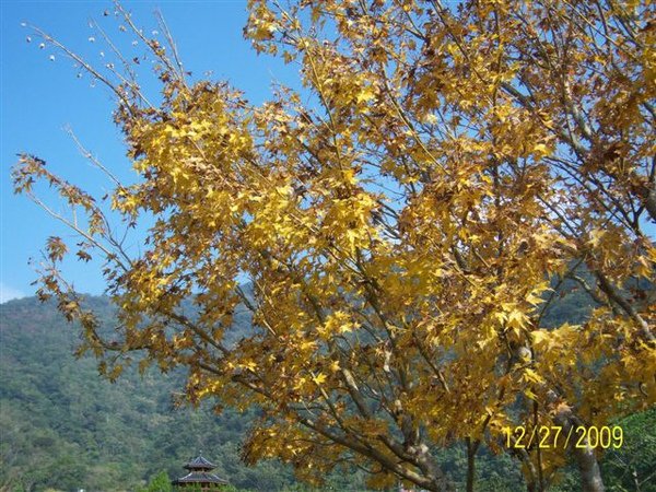 100_5096.JPG