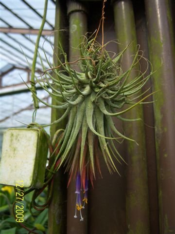100_5103.JPG