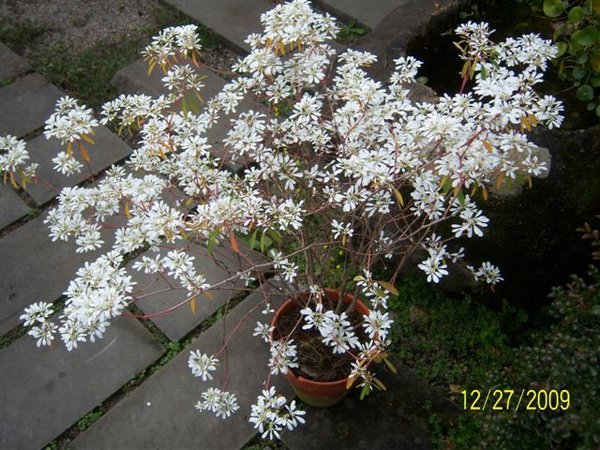 100_5109.JPG