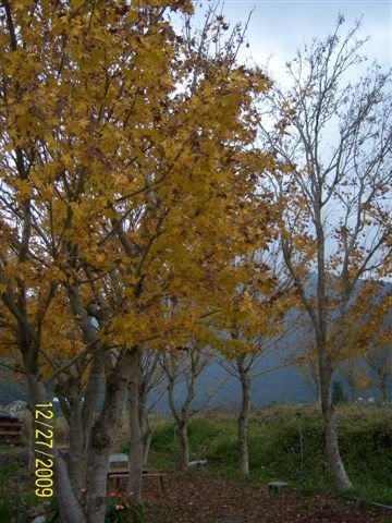 100_5130.JPG