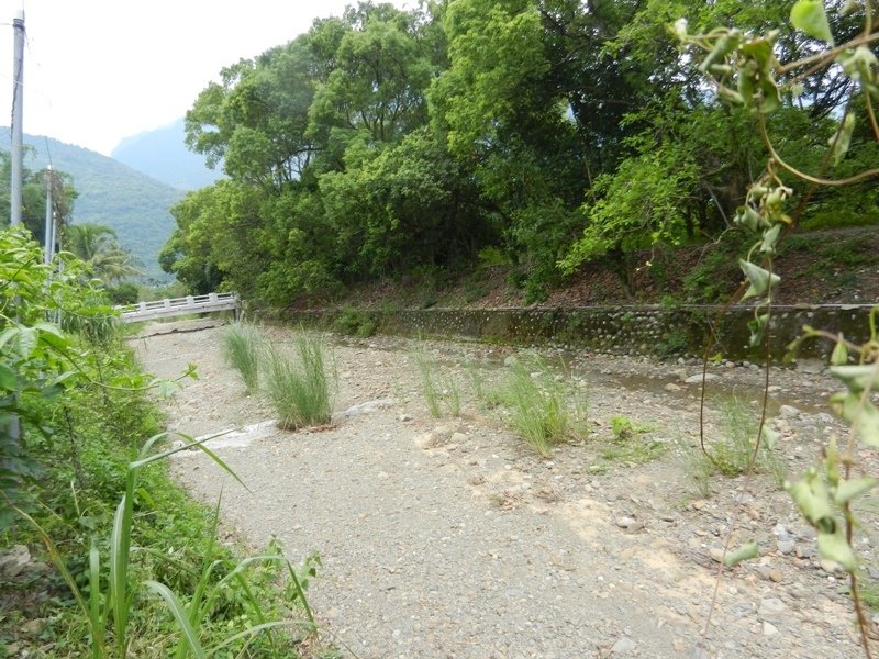 DSCN7207