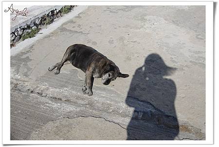 IMG_3802