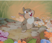 拍哈C.gif