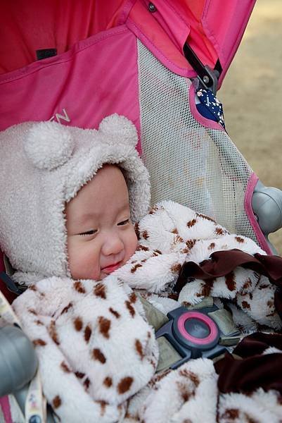 DSC_4875.jpg