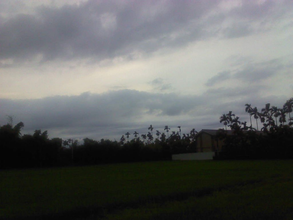 DSC0000011.jpg